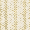 Acacia Caraway sample image