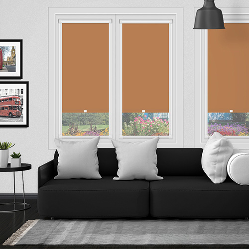 Polaris Tan in a Frame Lifestyle Blackout blinds