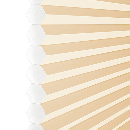 Intu Apollo Apricot (BO) Honeycomb Lifestyle INTU Pleated Blinds