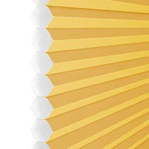 Intu Apollo Citron (BO) Honeycomb Lifestyle INTU Pleated Blinds