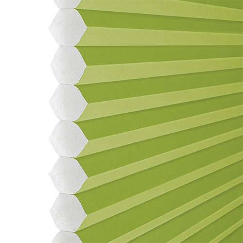 Clic No Drill Apollo Grass (BO) Lifestyle INTU Pleated Blinds