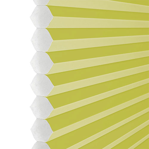 Clic No Drill Apollo Lime (BO) Lifestyle INTU Pleated Blinds