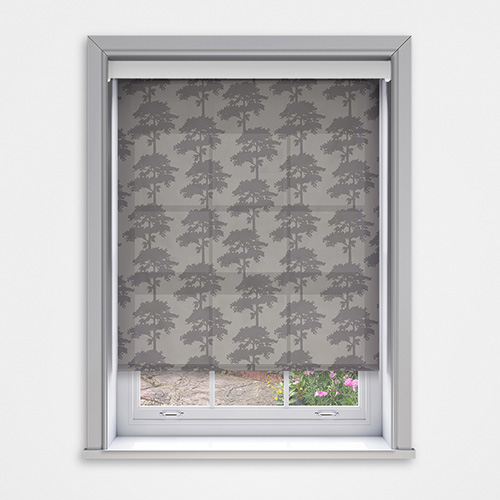 Ella Aspin Dimout with Cassette Lifestyle New Blinds