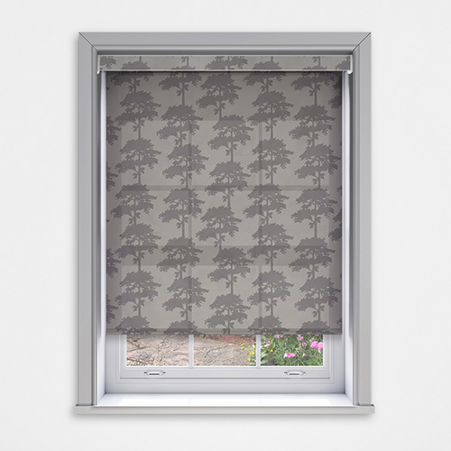 Ella Aspin Dimout with Cassette Lifestyle New Blinds