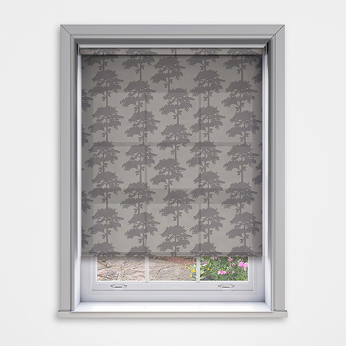 Ella Aspin Lifestyle New Blinds