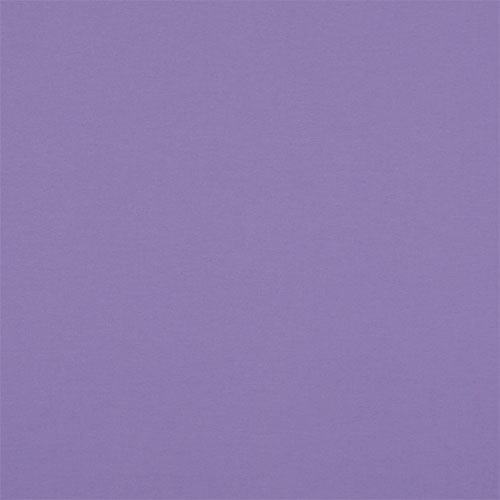 Electric Polaris Mauve Blockout New Blinds