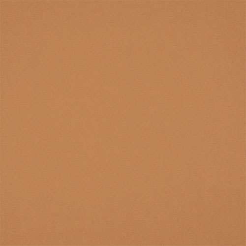 Electric Polaris Tan Blockout New Blinds