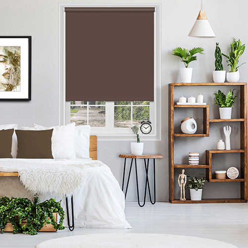 Electric Polaris Taupe Blockout Lifestyle New Blinds