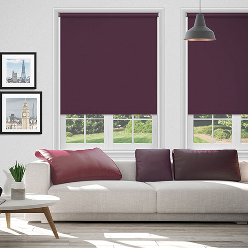 Electric Bella Boujee Lifestyle New Blinds