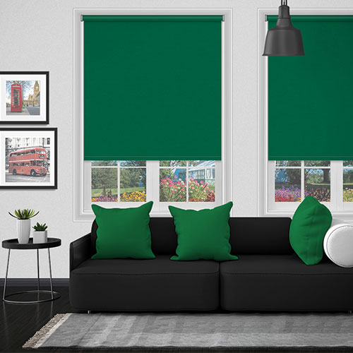 Electric Bella Cacti Lifestyle New Blinds