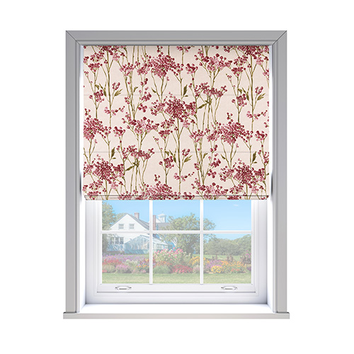 Celina Berry Lifestyle New Blinds