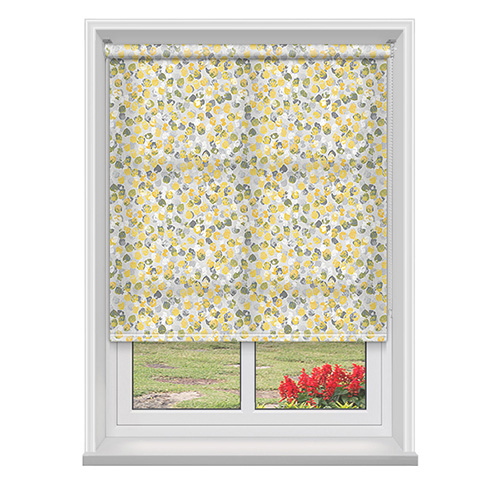 Lacuna Flare Lifestyle Roller blinds