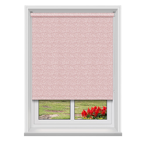 Isla Sorbet Lifestyle Roller blinds