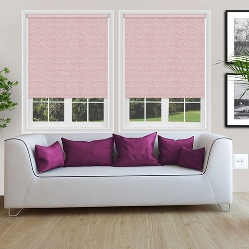 Isla Sorbet Lifestyle Roller blinds