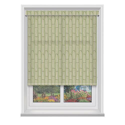 Kylen Green with Cassette Lifestyle Roller blinds