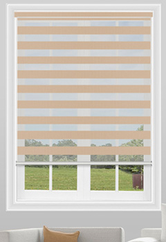 Shades Wicker Dual Shade Thumbnail image